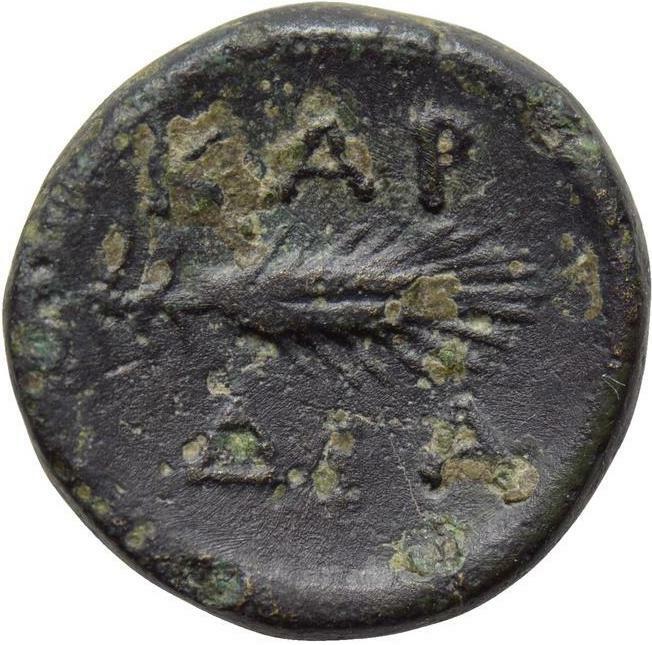 реверс CN Type cn.cardia.1_ed.19