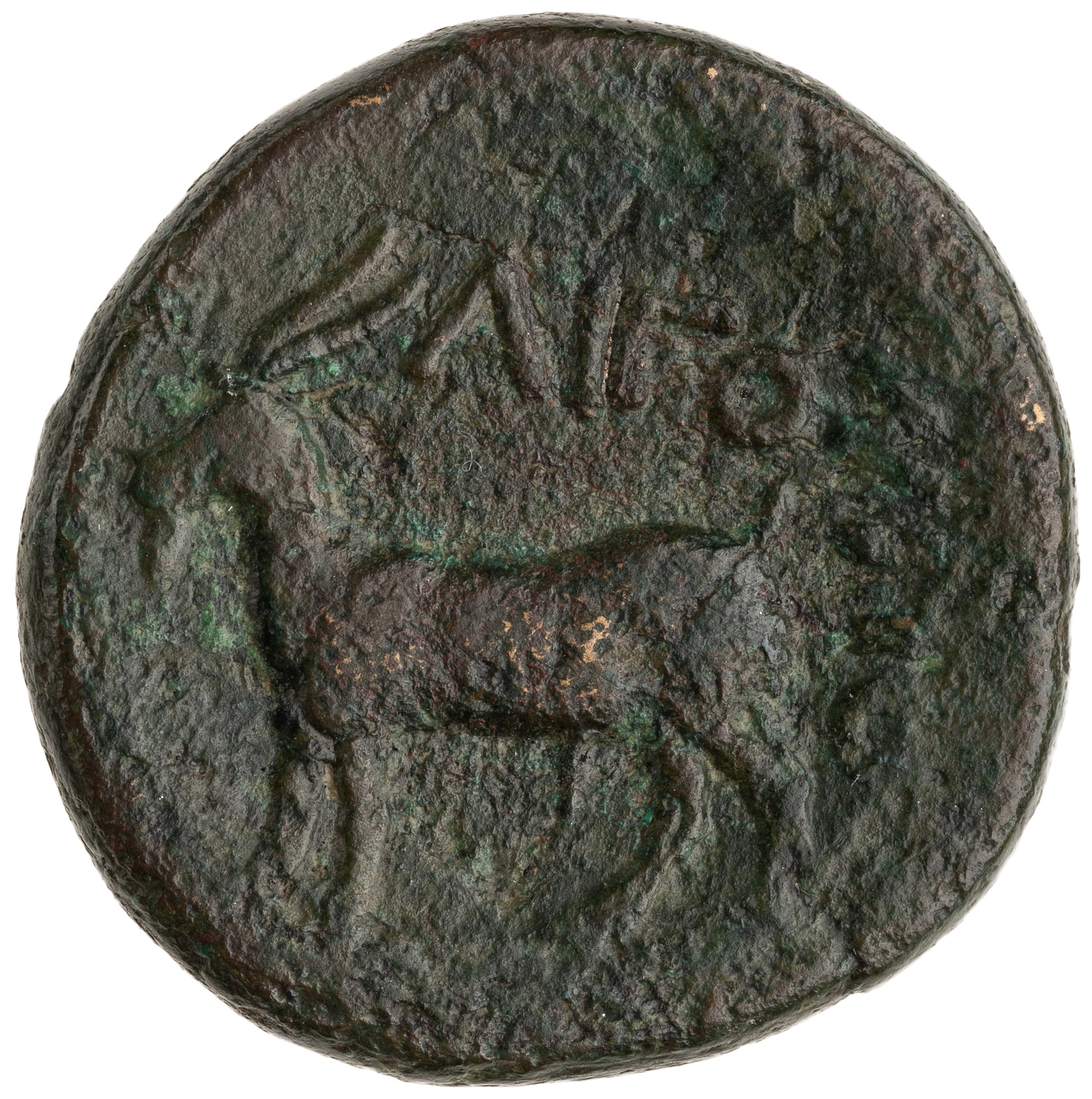 CN Type cn.aegospotami.1_ed.3, реверс, cn-coins