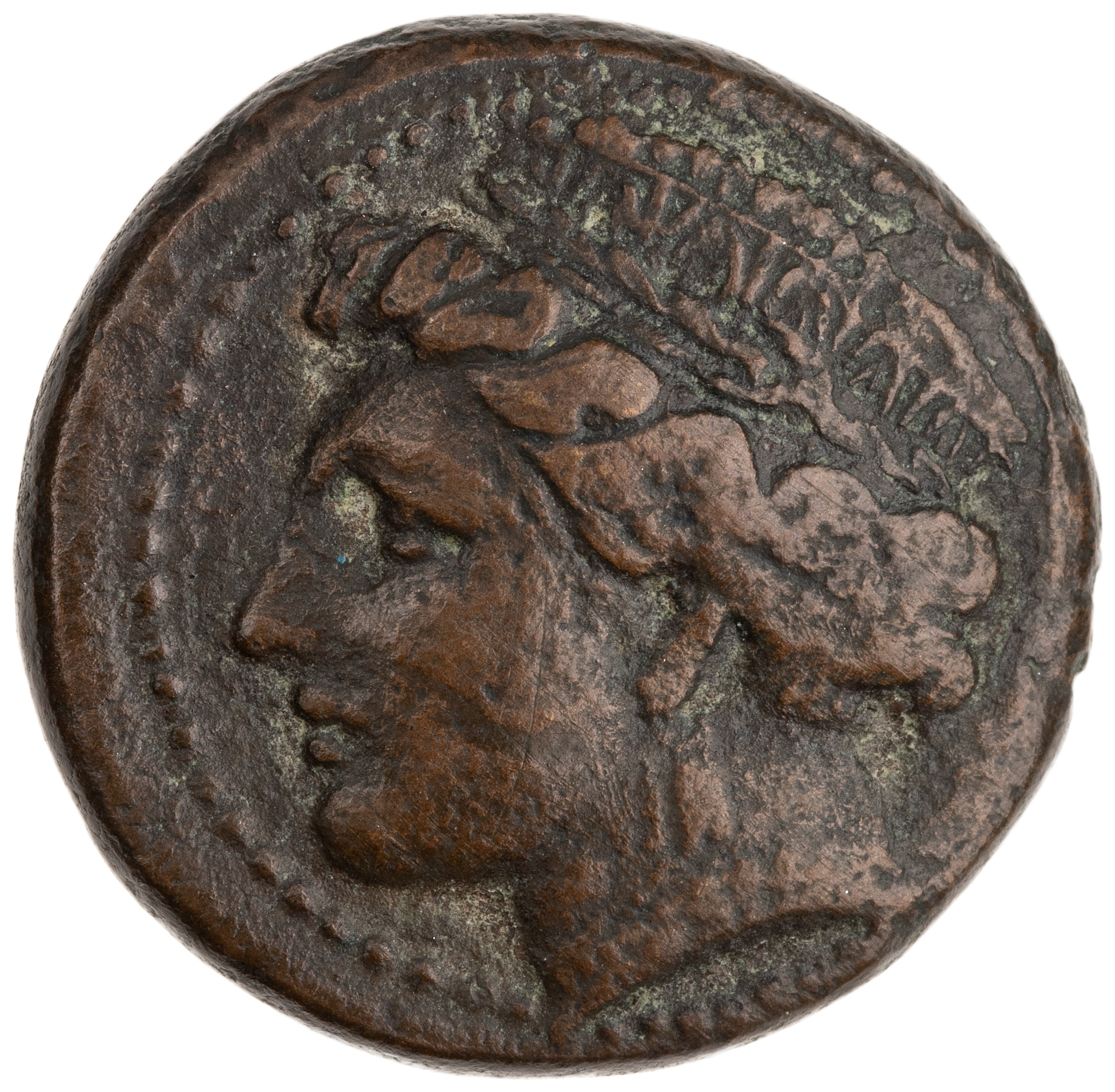 CN Type cn.aegospotami.1_ed.3, аверс, cn-coins