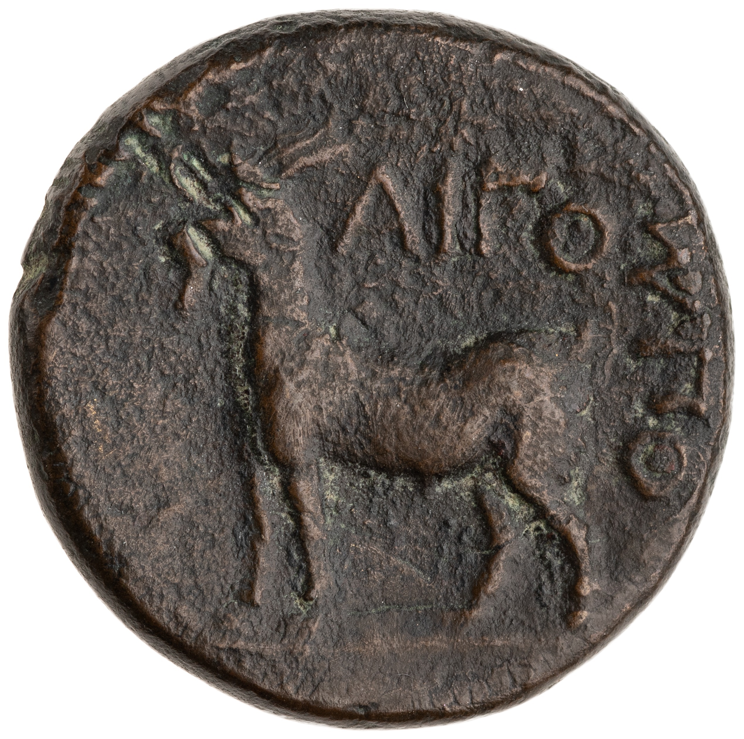 CN Type cn.aegospotami.1_ed.3, реверс, cn-coins