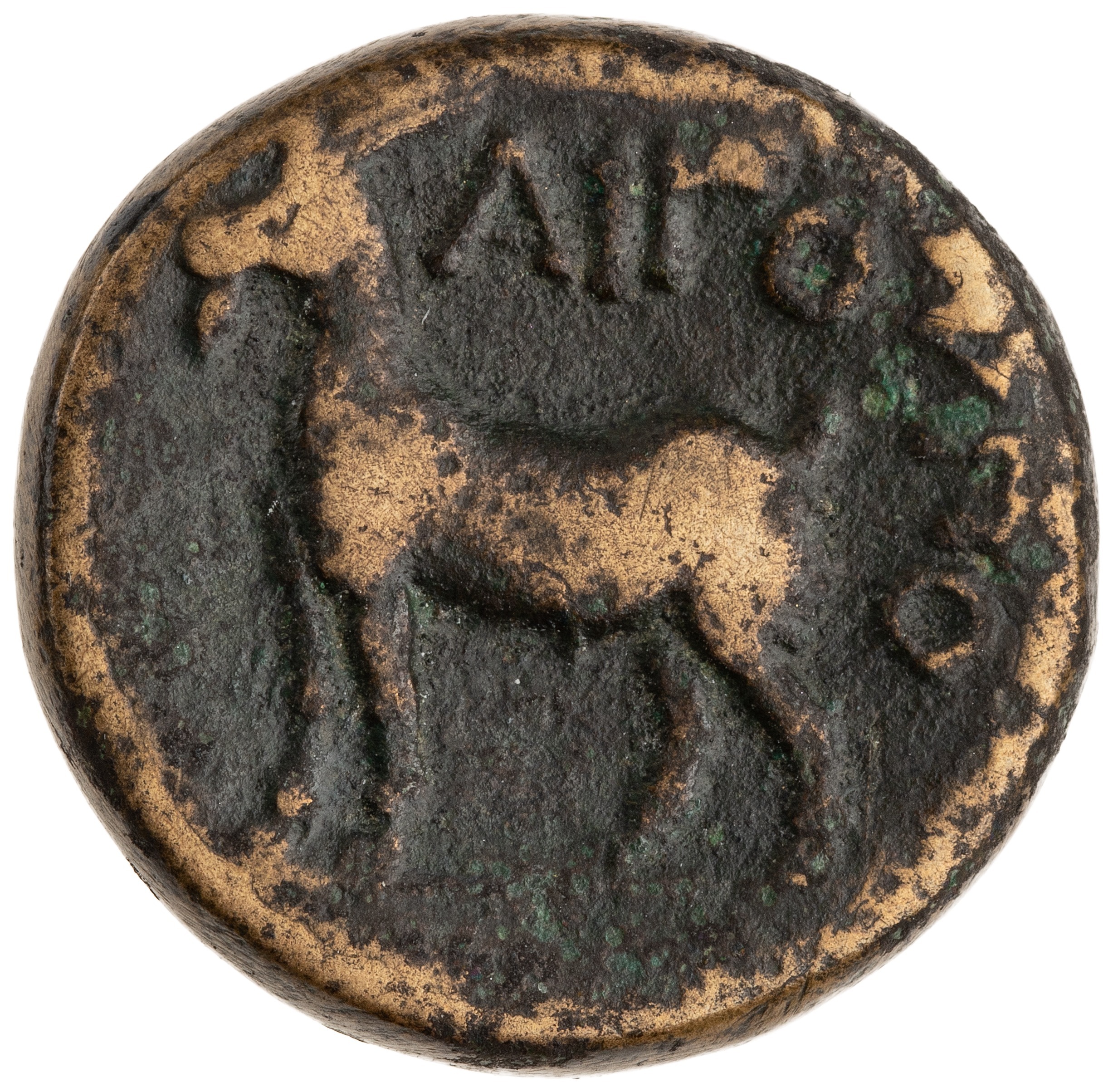 CN Type cn.aegospotami.1_ed.3, реверс, cn-coins