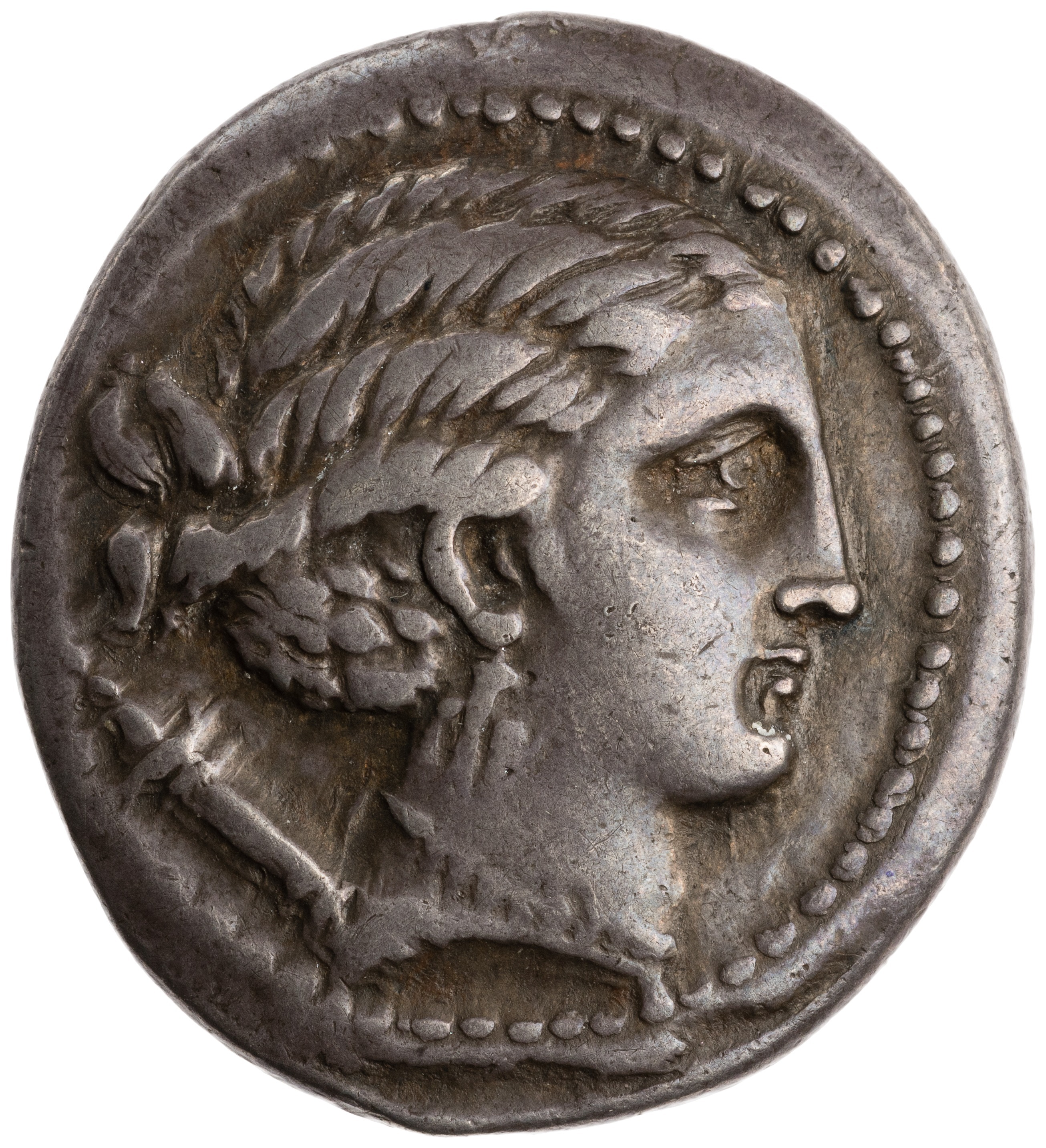 CN Type cn.orthagoreia_thrace.1_ed.4, аверс, cn-coins