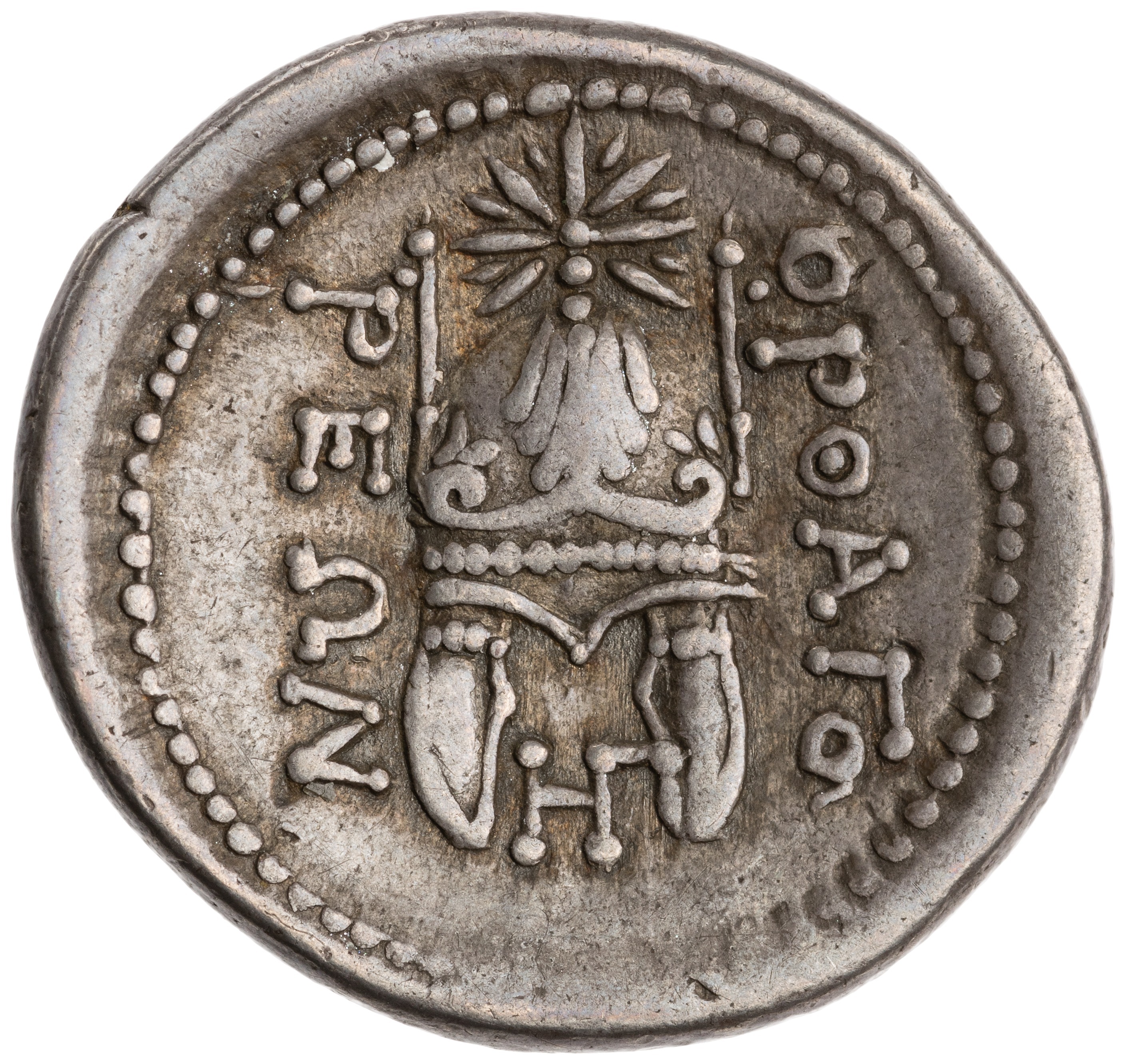 CN Type cn.orthagoreia_thrace.1_ed.4, реверс, cn-coins