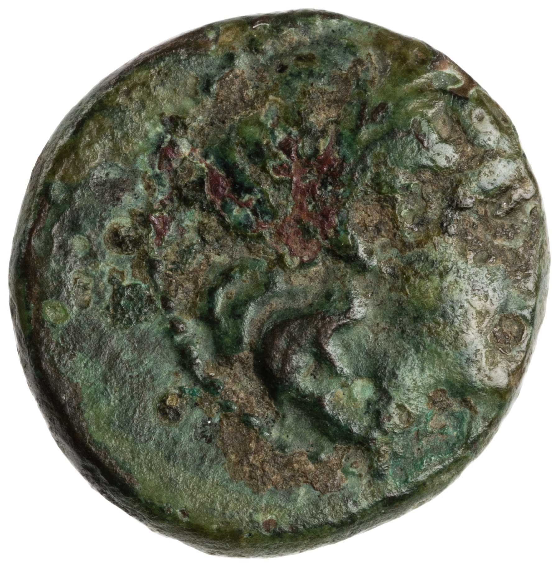 CN Type cn.orthagoreia_thrace.1_ed.3, аверс, cn-coins