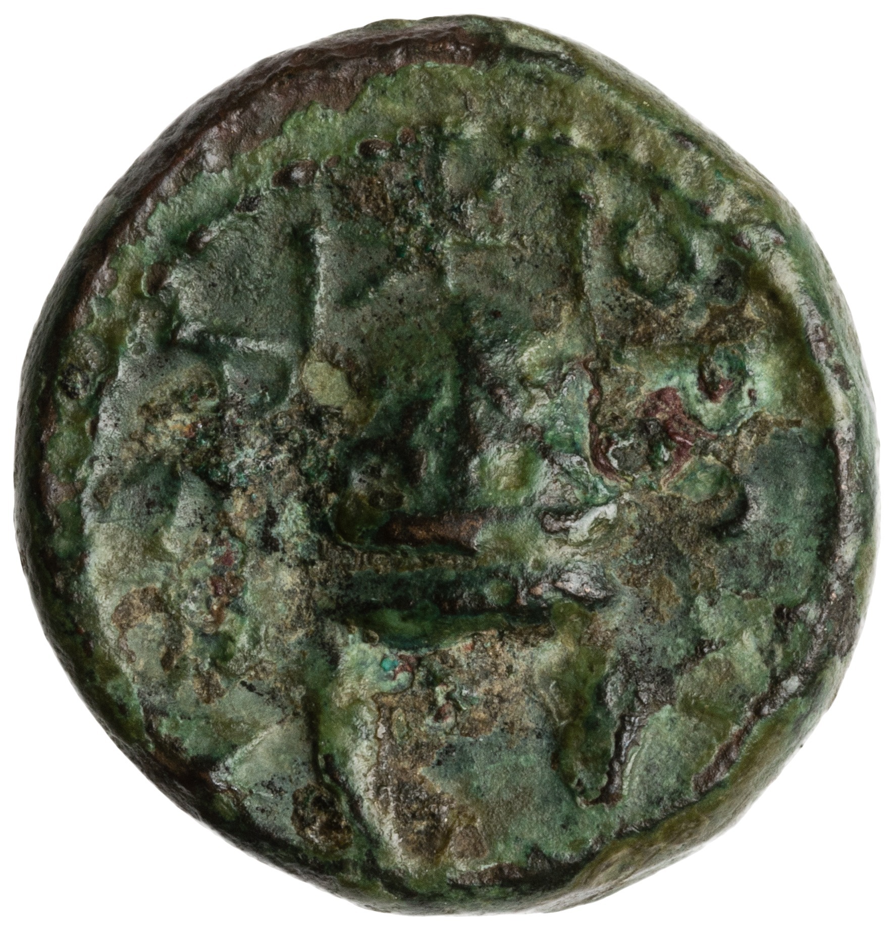 CN Type cn.orthagoreia_thrace.1_ed.3, реверс, cn-coins