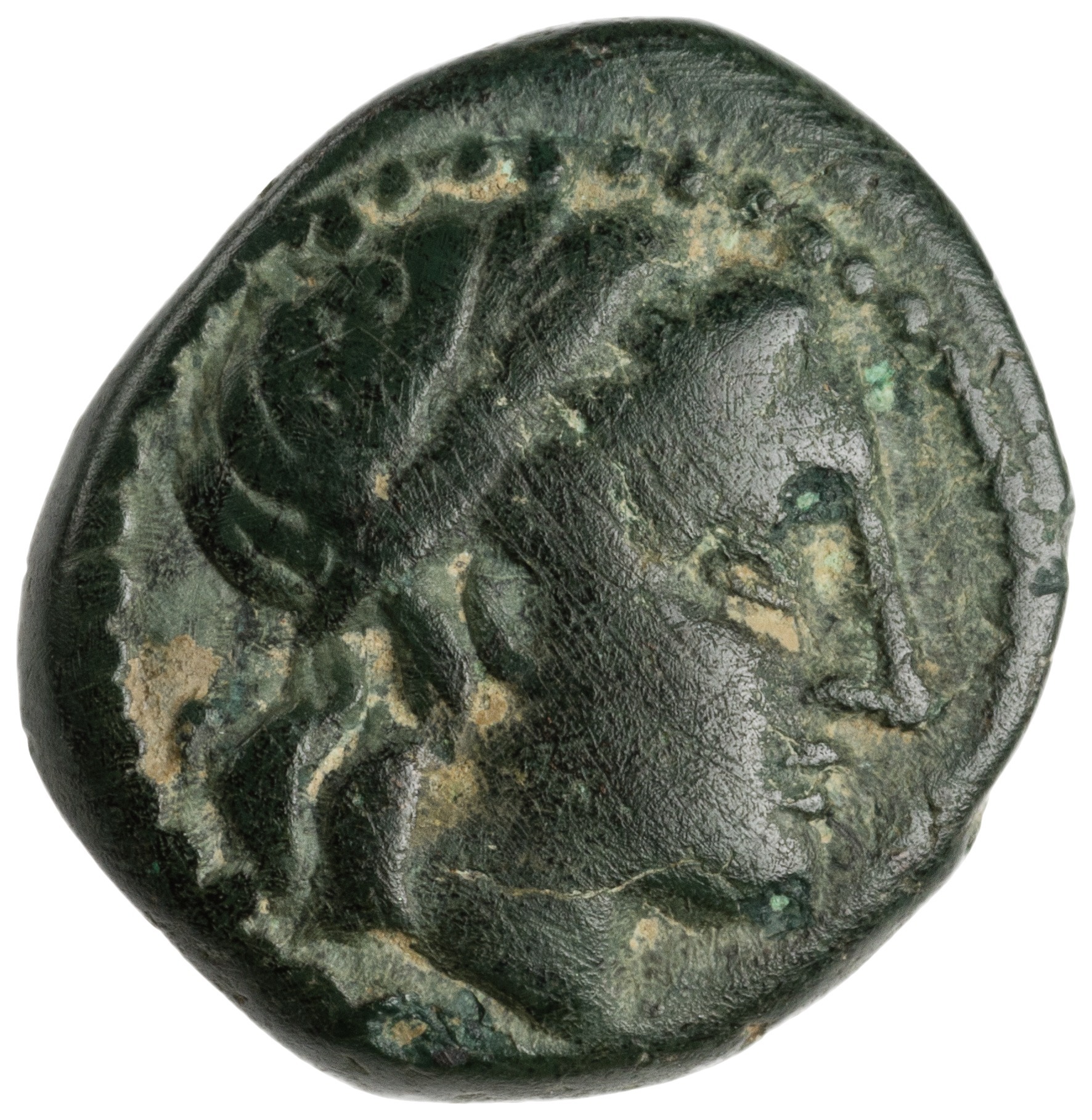 CN Type cn.orthagoreia_thrace.1_ed.3, аверс, cn-coins