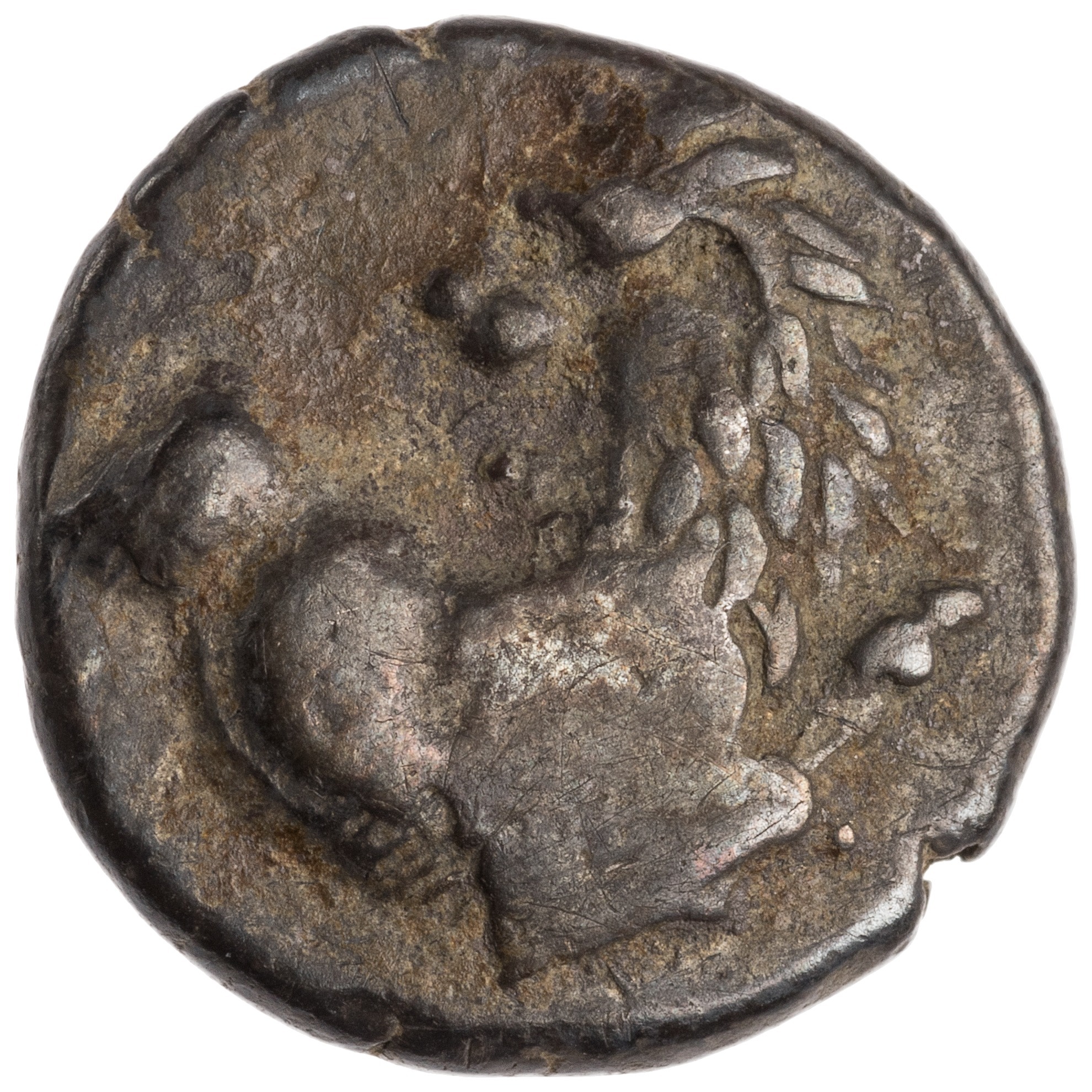 аверс CN Type cn.chersonesus_thrace.1_ed.9