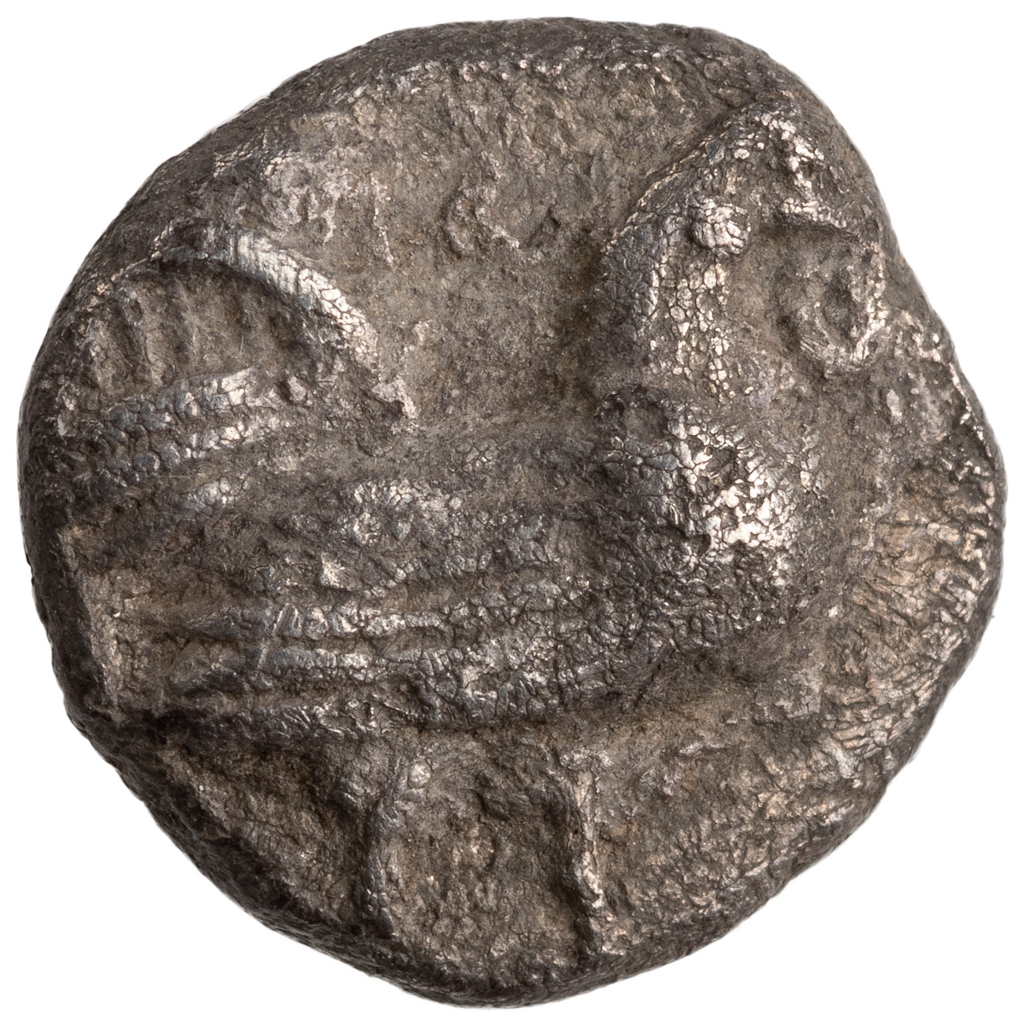 CN Type cn.dicaea_thrace.1_ed.16, аверс, cn-coins