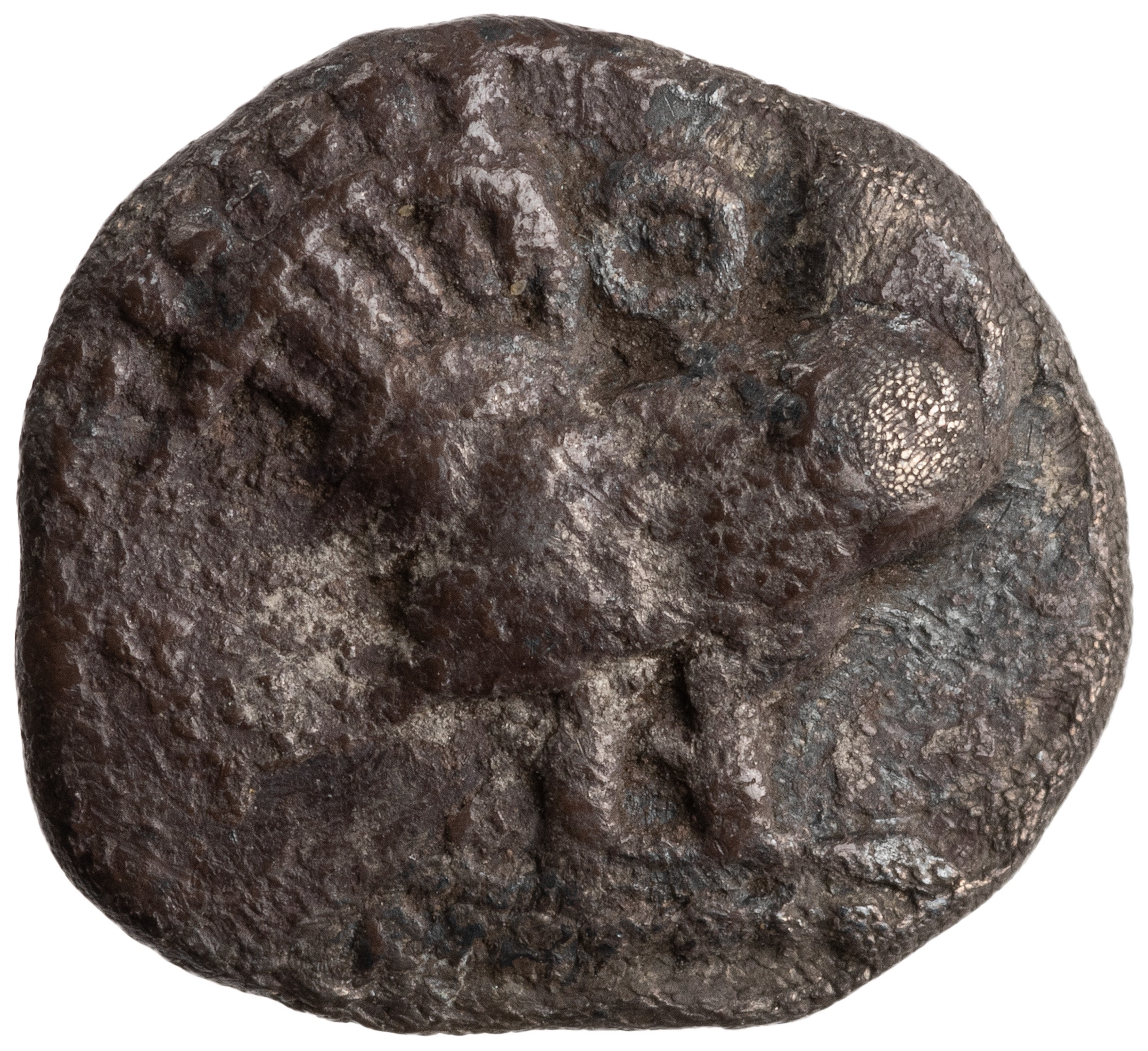 CN Type cn.dicaea_thrace.1_ed.14, аверс, cn-coins