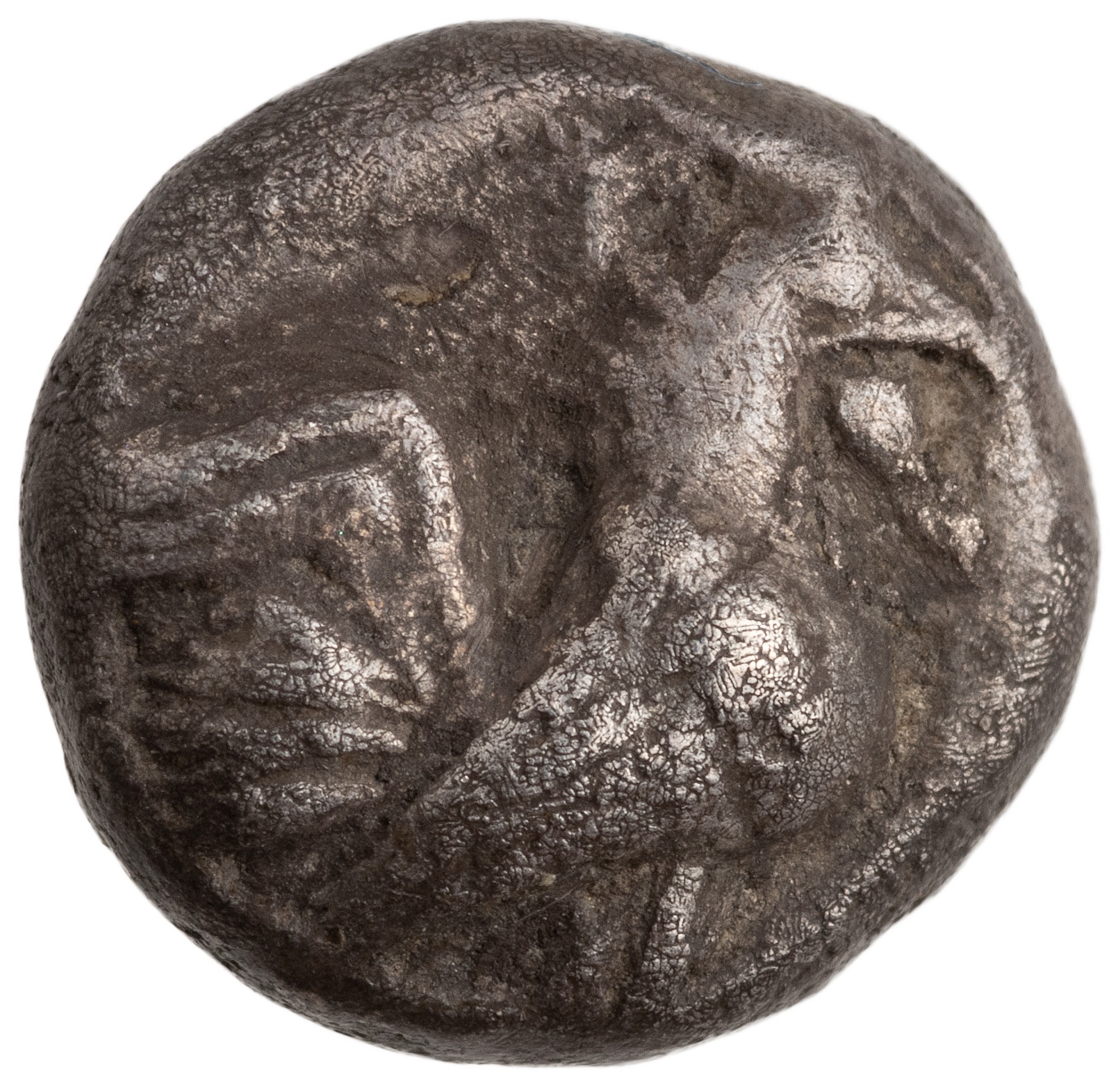 CN Type cn.dicaea_thrace.1_ed.16, аверс, cn-coins
