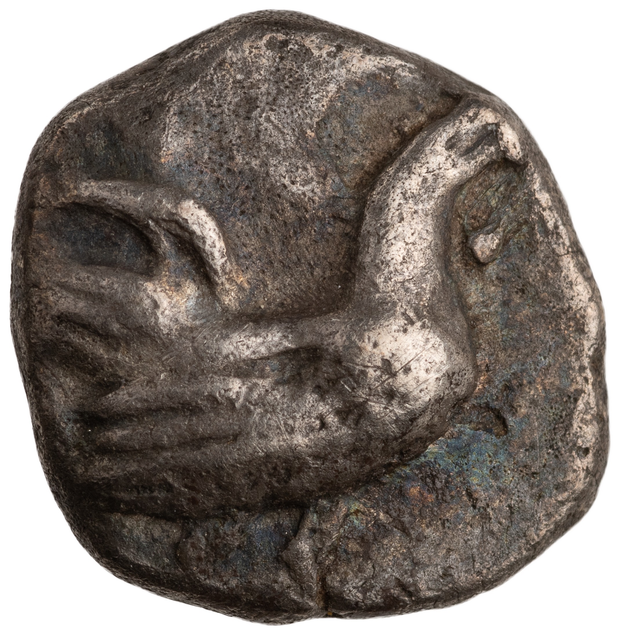 CN Type cn.dicaea_thrace.1_ed.16, аверс, cn-coins