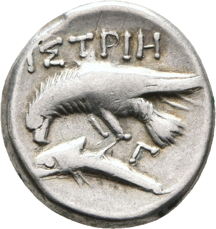 реверс CN Type 7153