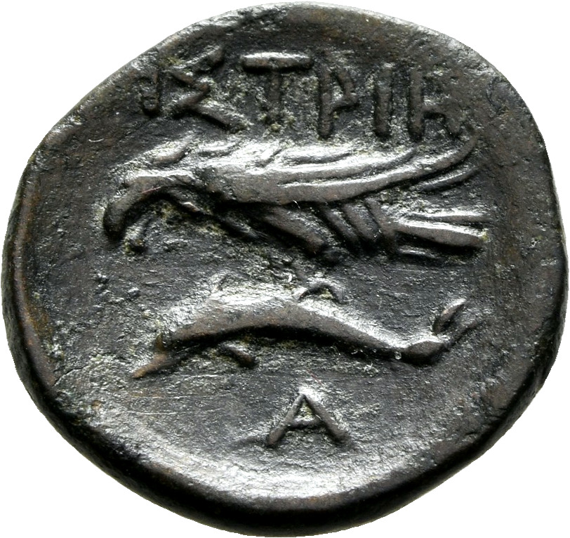 CN Type 7228, реверс, cn-coins
