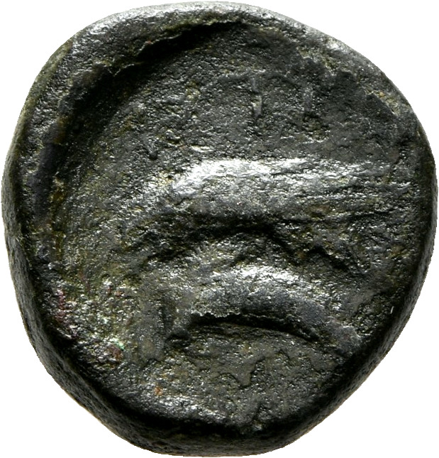 CN Type 7201, реверс, cn-coins