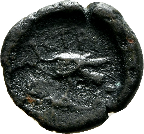 CN Type 7201, реверс, cn-coins