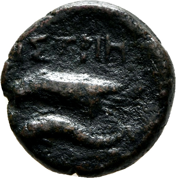 CN Type 7219, реверс, cn-coins