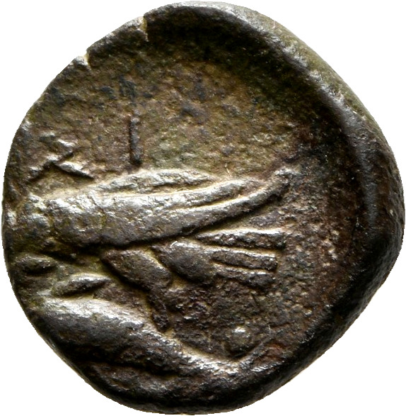 CN Type 7201, реверс, cn-coins