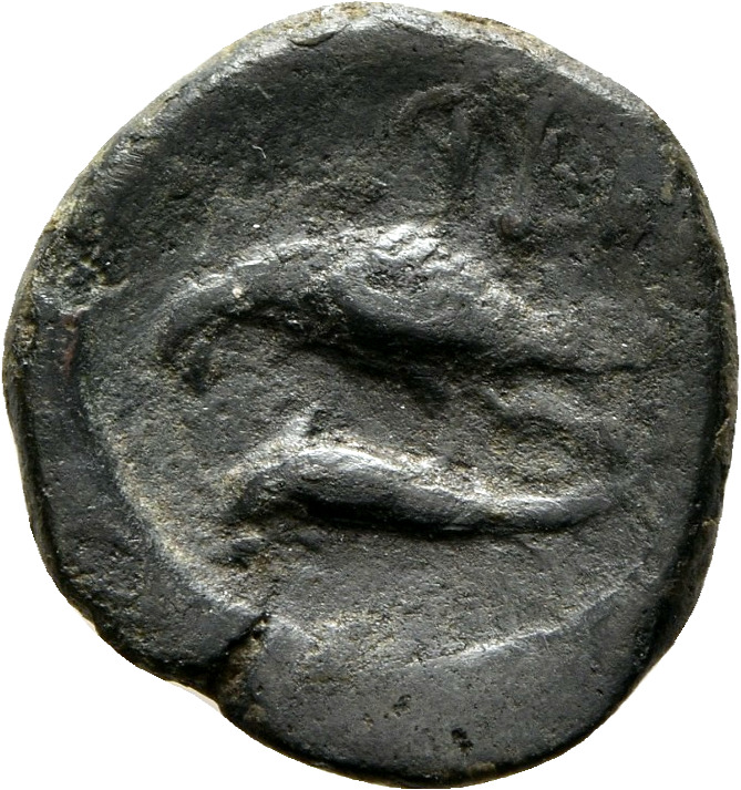 CN Type 7201, реверс, cn-coins