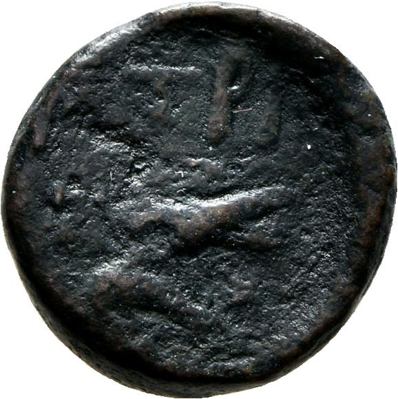 CN Type 7235, реверс, cn-coins