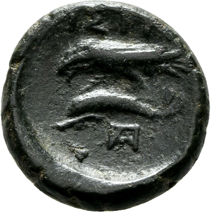 CN Type 7288, реверс, cn-coins