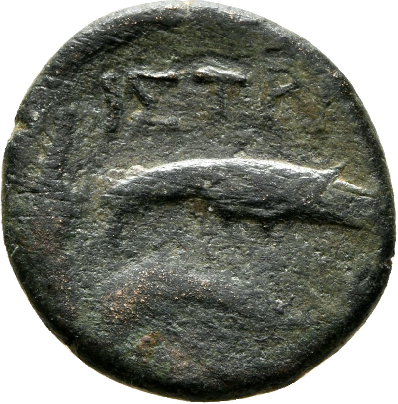 CN Type 7290, реверс, cn-coins
