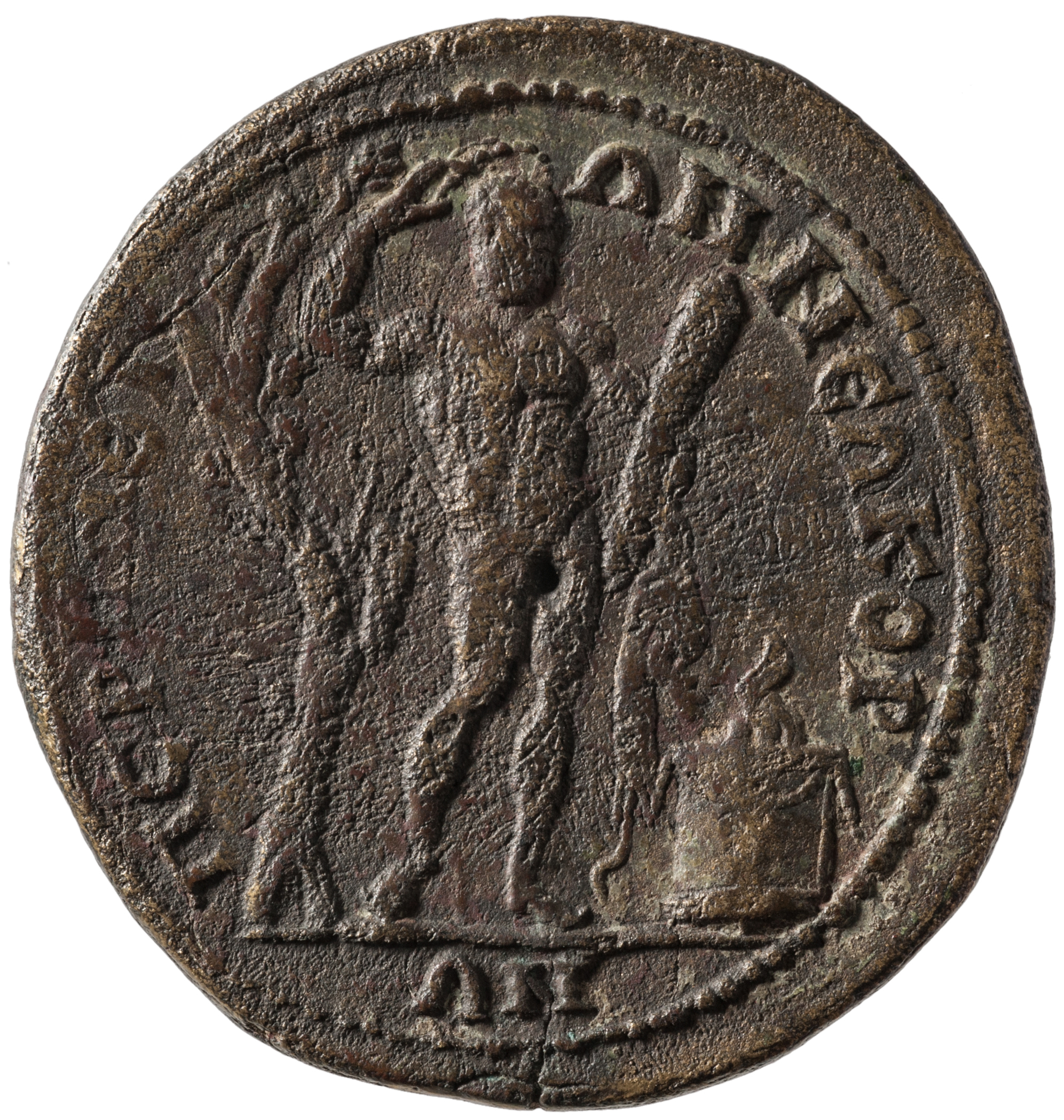 reverse CN Type cn.perinthus.1_ed.293