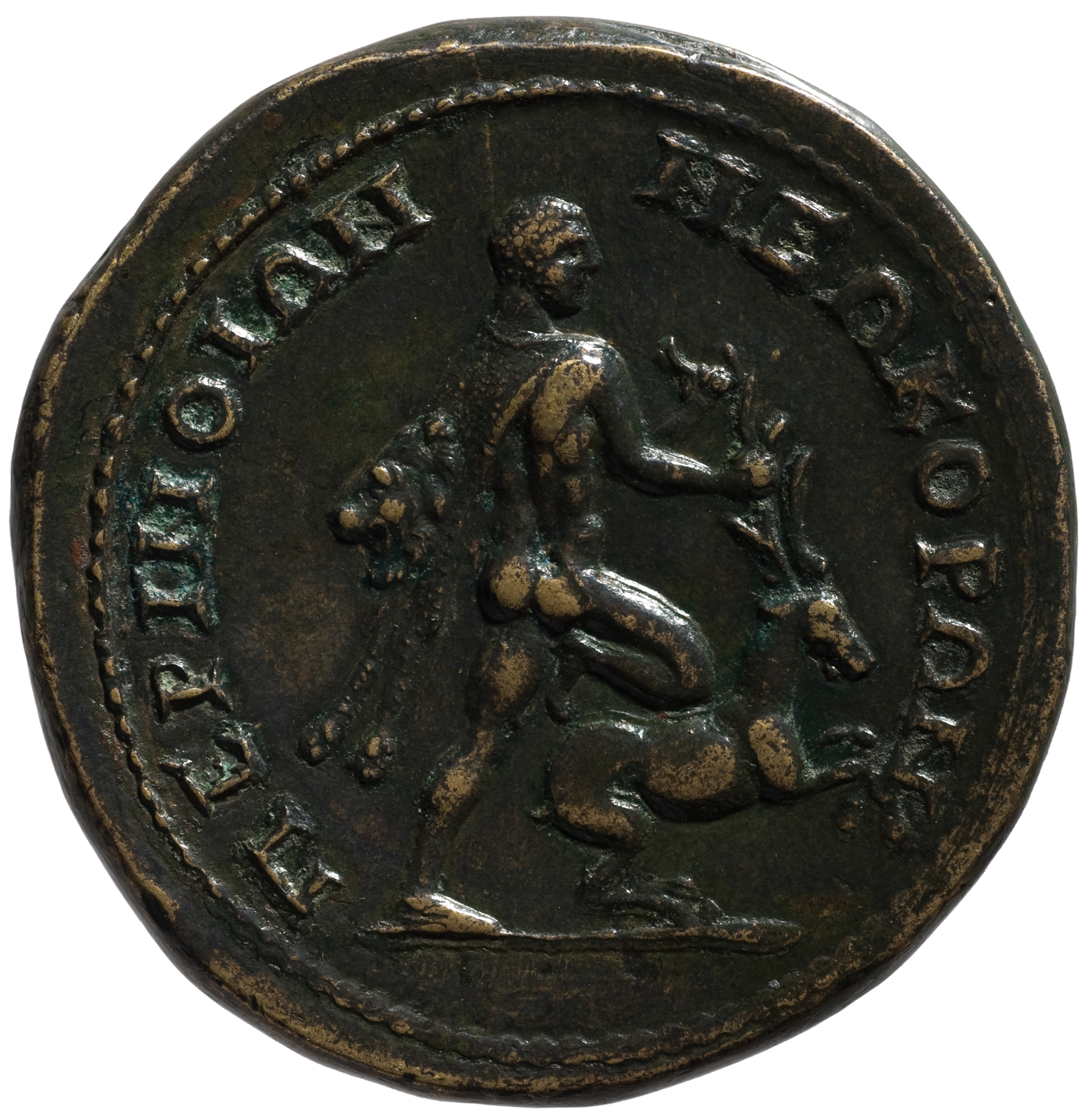 reverse CN Type cn.perinthus.1_ed.295