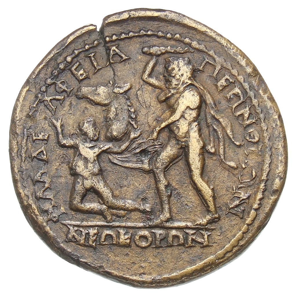 reverse CN Type cn.perinthus.1_ed.330