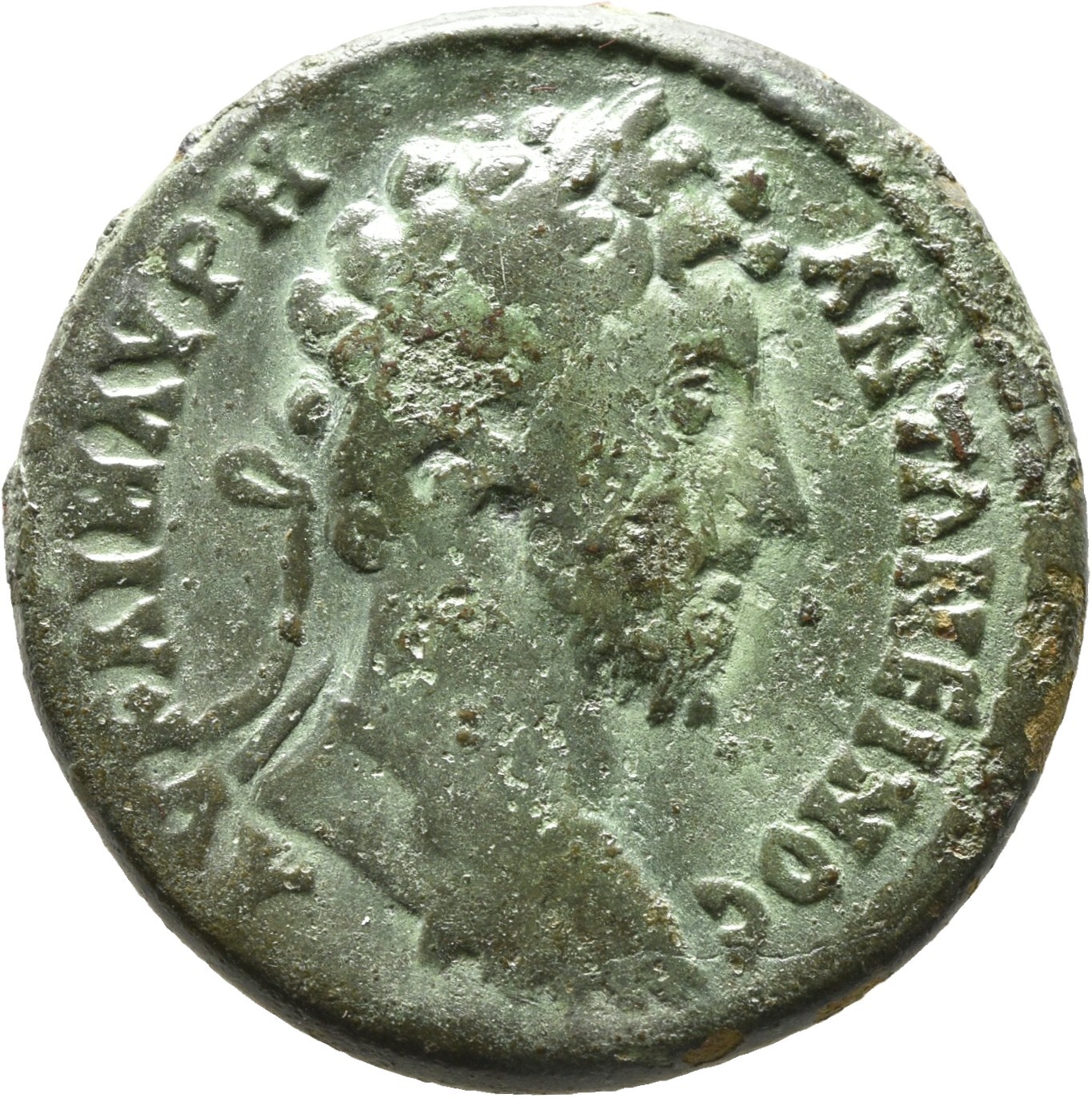 CN Type cn.augusta_trajana.1_ed.21, аверс, cn-coins