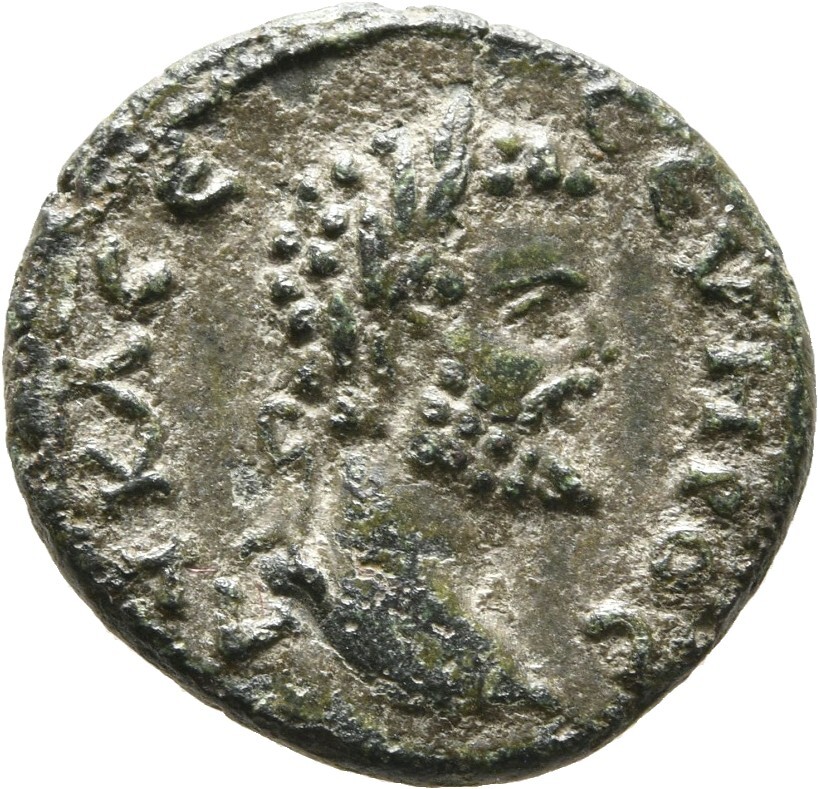 CN Type cn.augusta_trajana.1_ed.130, аверс, cn-coins