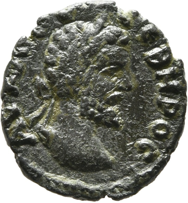CN Type cn.augusta_trajana.1_ed.130, аверс, cn-coins