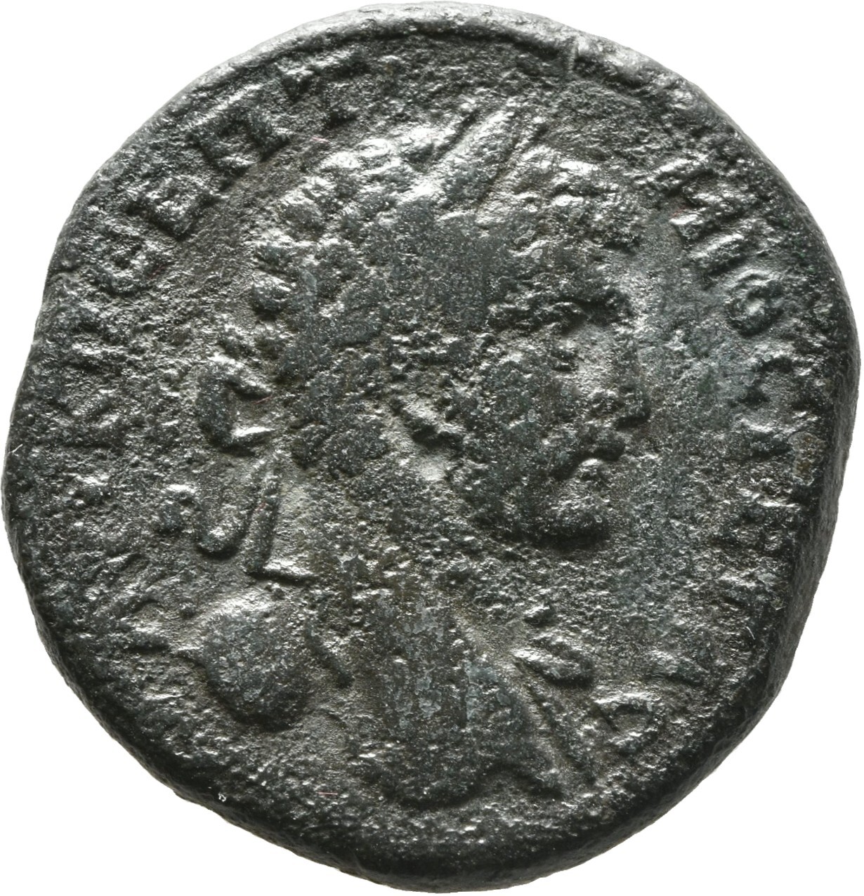 CN Type cn.augusta_trajana.1_ed.344, аверс, cn-coins