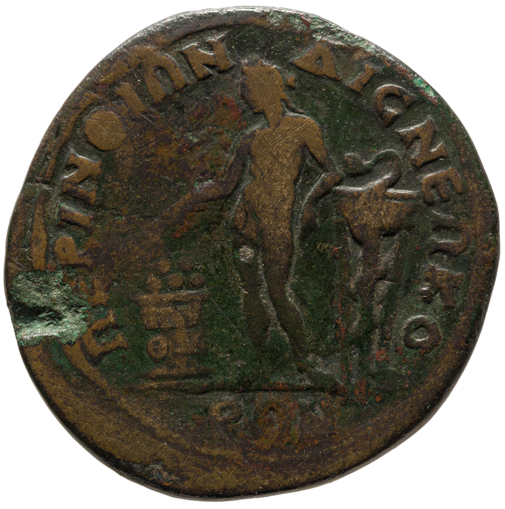 reverse CN Type cn.perinthus.1_ed.377