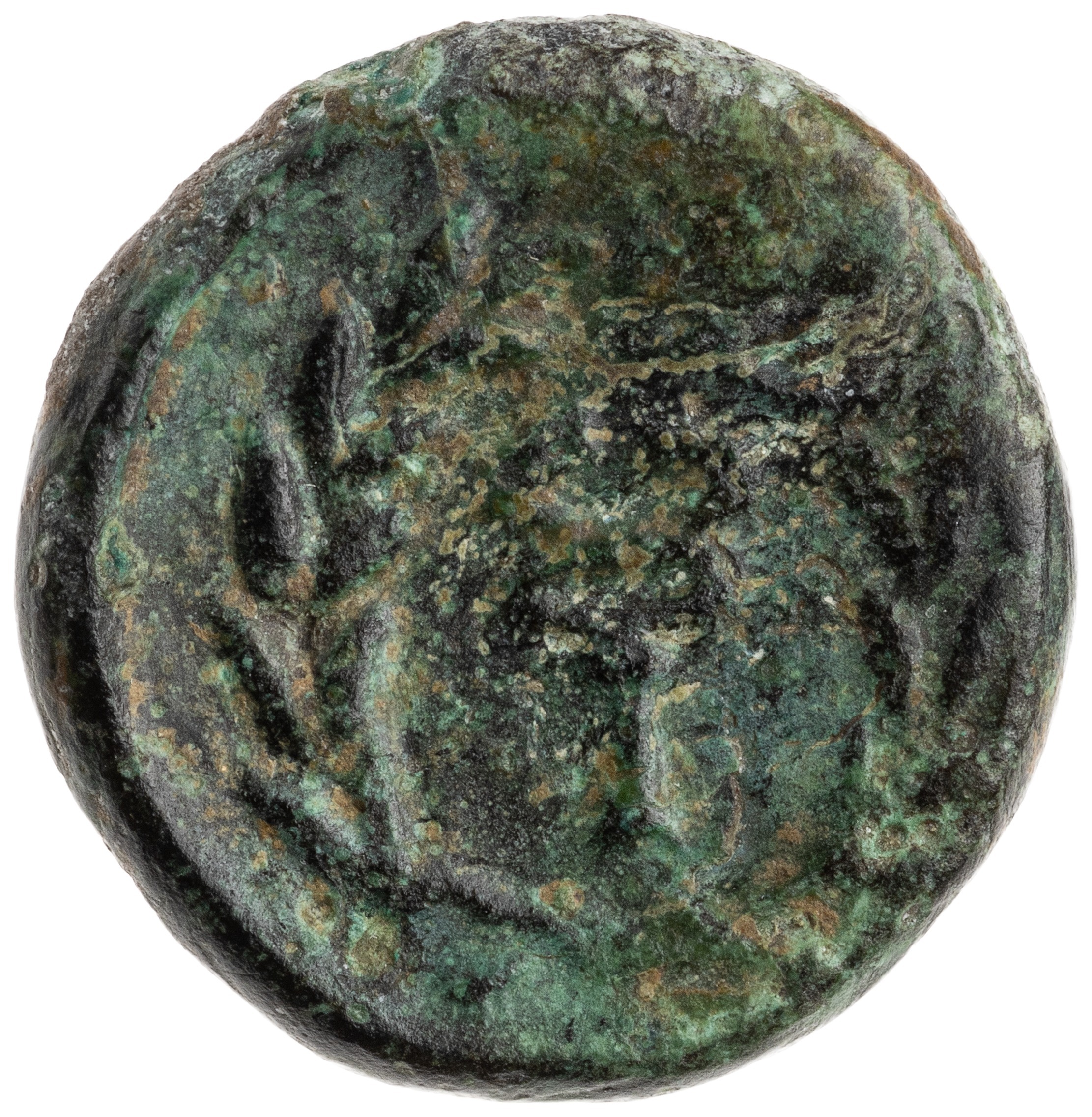 reverse CN Type cn.agathopolis.1_ed.8