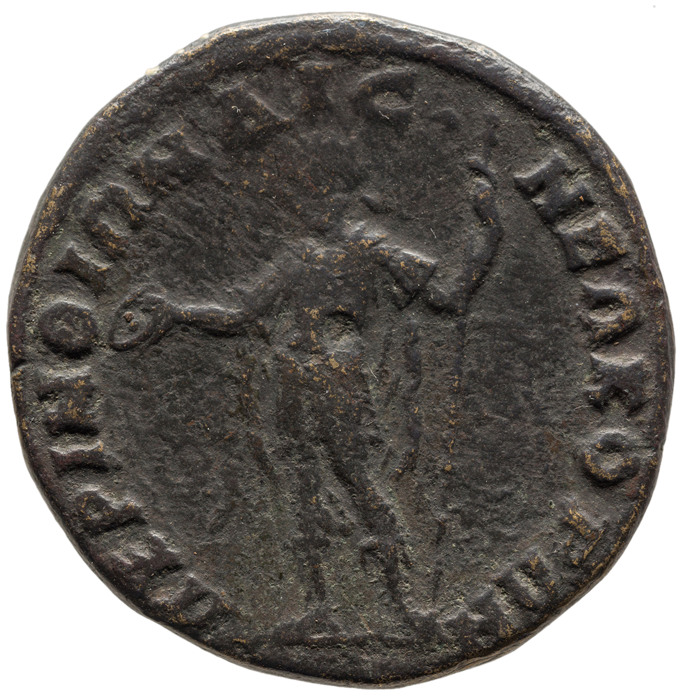 reverse CN Type cn.perinthus.1_ed.390
