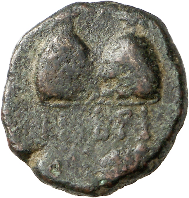 reverse CN Type cn.imbros.1_ed.27