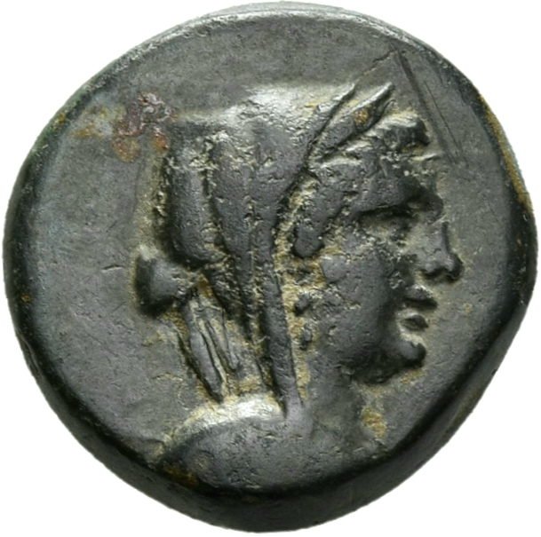 CN Type 13053, аверс, cn-coins