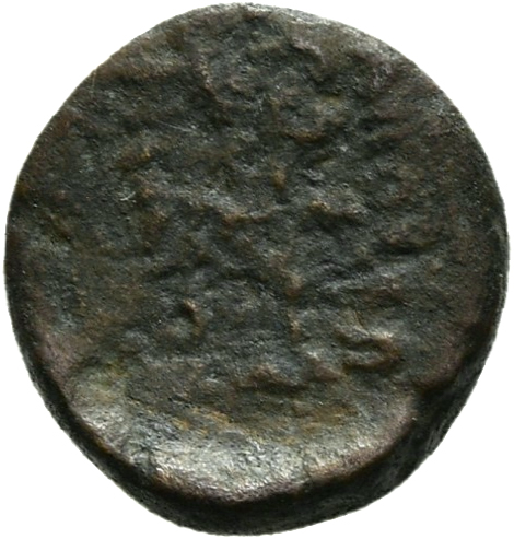 coin rev
