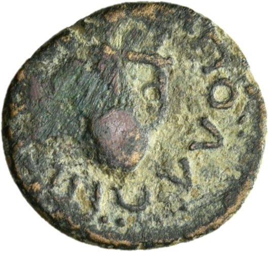 reverse CN Type 13067