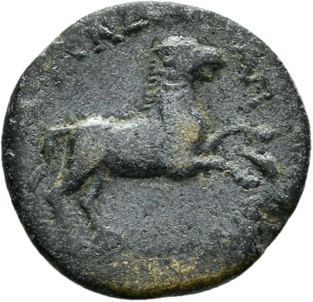 coin rev