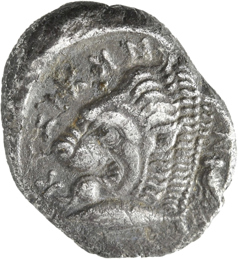 CN Type 11588, реверс, cn-coins