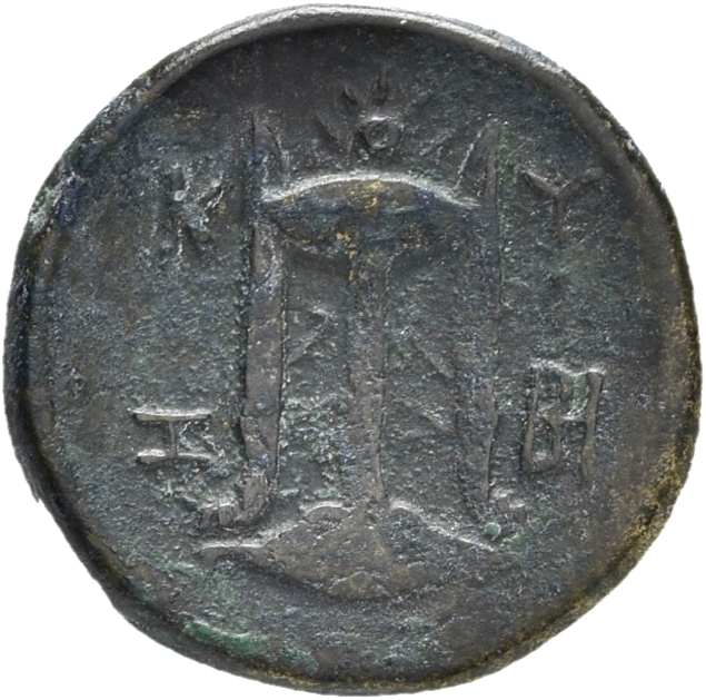 reverse CN Type 21631