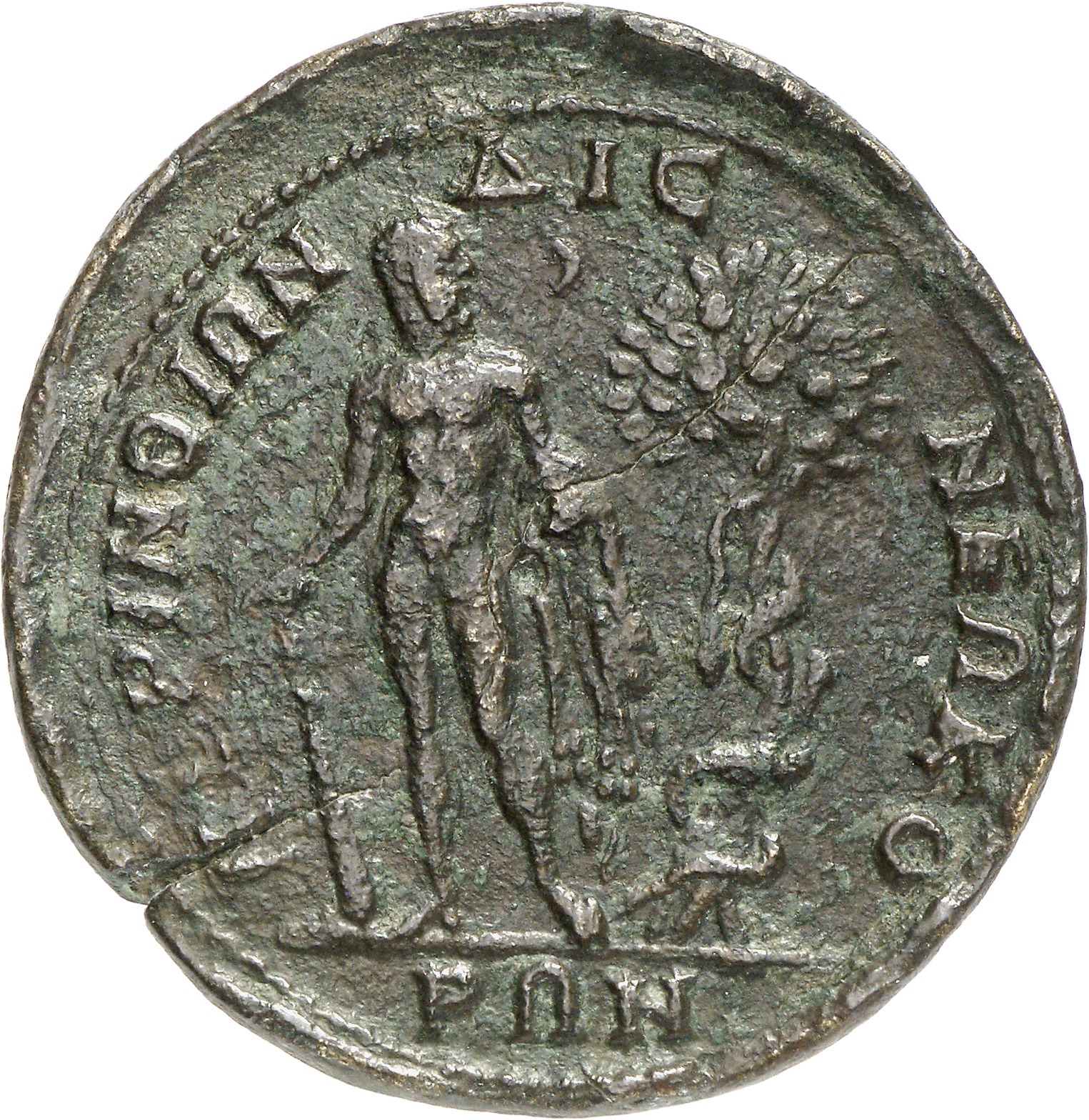 reverse CN Type cn.perinthus.1_ed.366