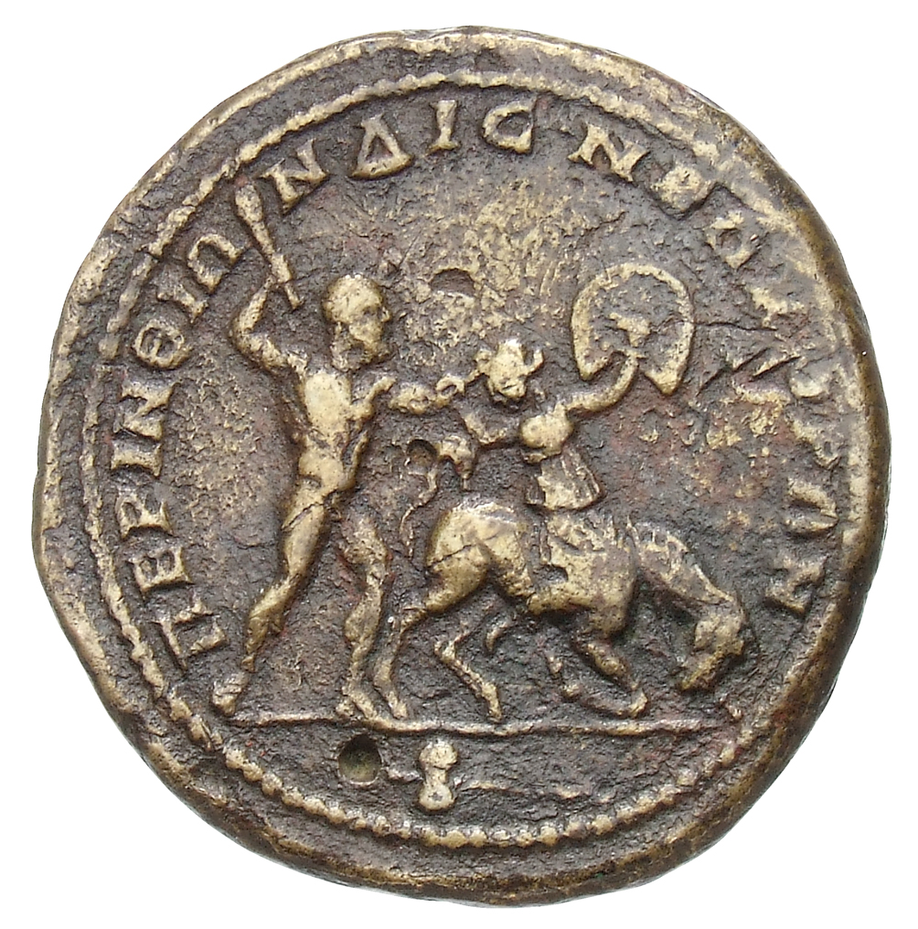 reverse CN Type cn.perinthus.1_ed.367