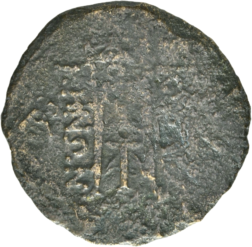coin rev