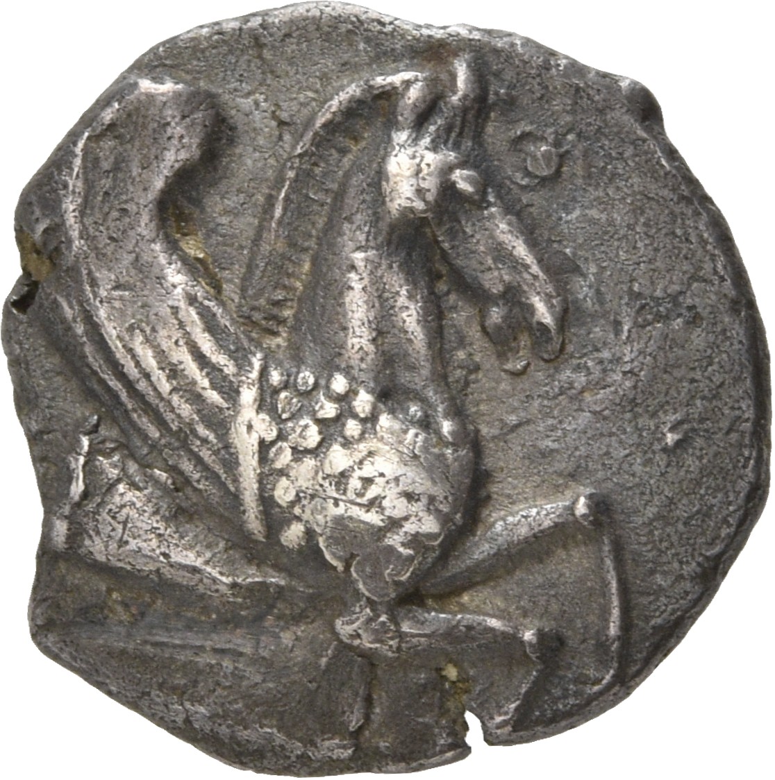 CN Type 20593, аверс, cn-coins