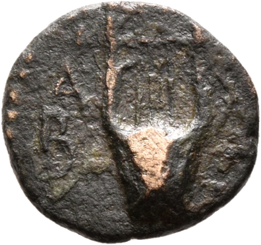 CN Type 3321, реверс, cn-coins