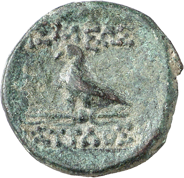 CN Type cn.mostis_caeni.1_ed.4, реверс, cn-coins