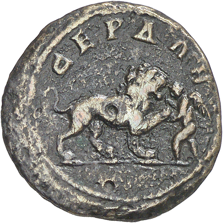 реверс CN Type cn.serdica.1_ed.264