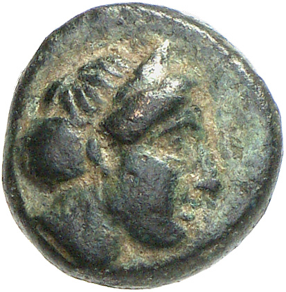 CN Type cn.cersobleptes_odrysian_thrace.1_ed.3, аверс, cn-coins